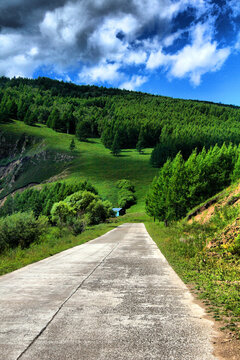 阿尔山草原公路