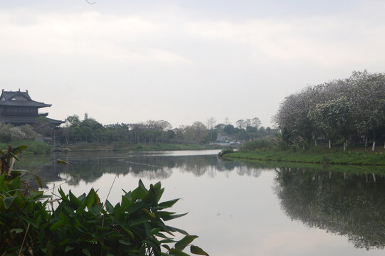 海珠湖文化馆前涌