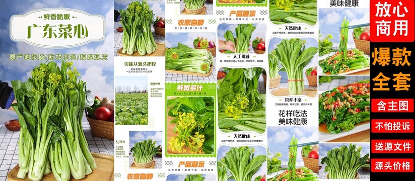 廣東菜心詳情頁