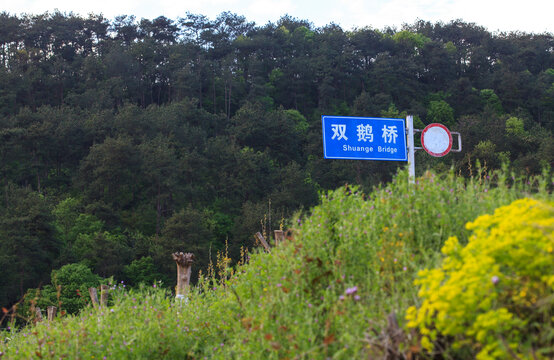雙鵝橋