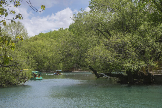 龙王潭生态风景