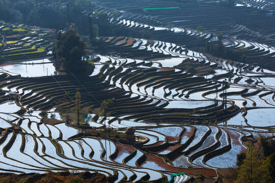 元阳梯田自然风景