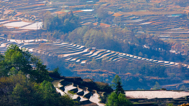 元阳梯田自然风景