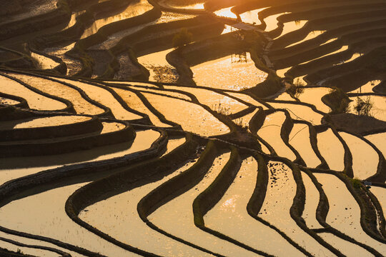 元阳梯田自然风景