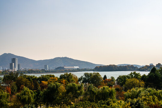 南京秋日的风景