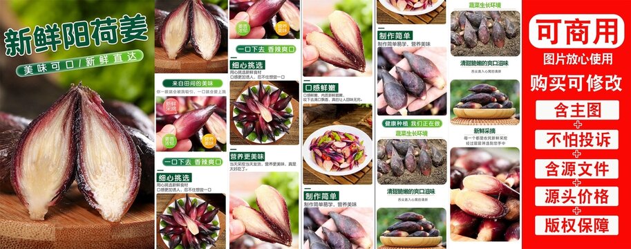 陽(yáng)荷姜詳情頁(yè)