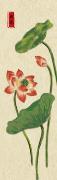 荷花插畫