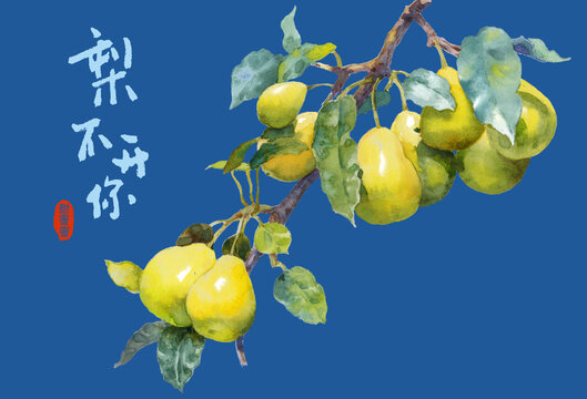 梨子水彩插畫