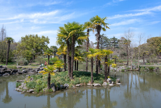 上海植物园