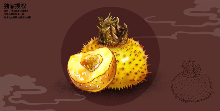 刺梨果插畫