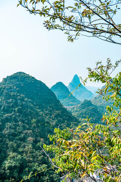 青山