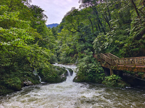 瓦屋山溪流