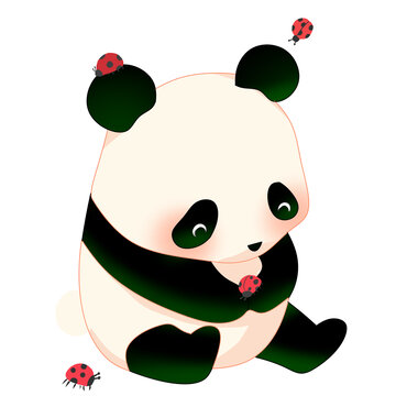 熊貓和小瓢蟲