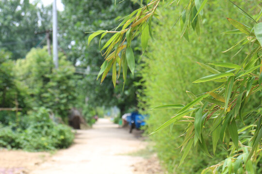 乡村道路