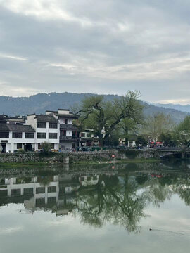 沿途风景