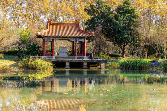 南京秋天明孝陵风景