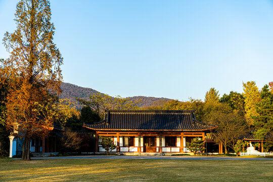 秋天明孝陵风景