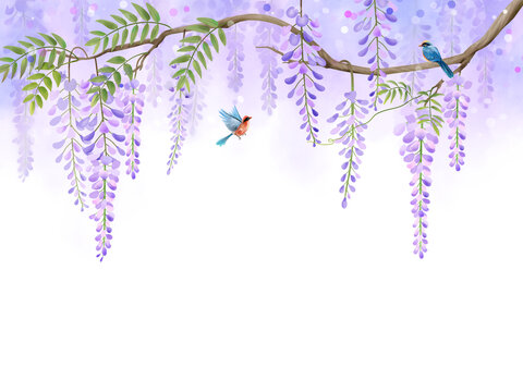 紫藤花鳥圖