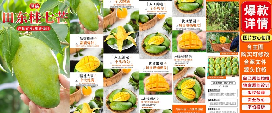 田東桂七芒詳情頁