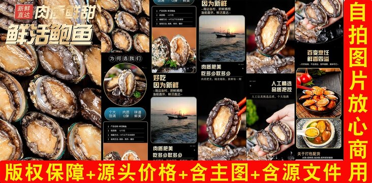 鮮活鮑魚詳情頁
