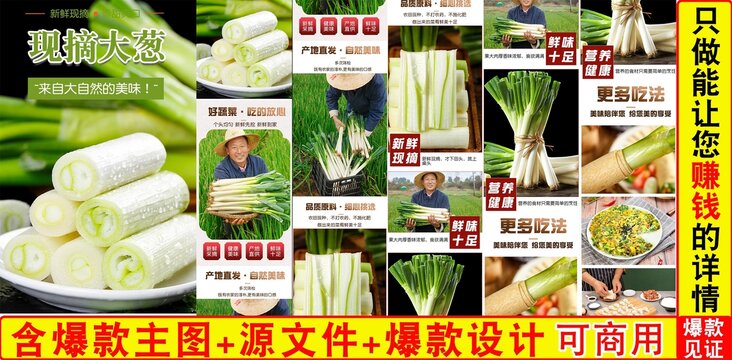 現(xiàn)摘大蔥詳情頁