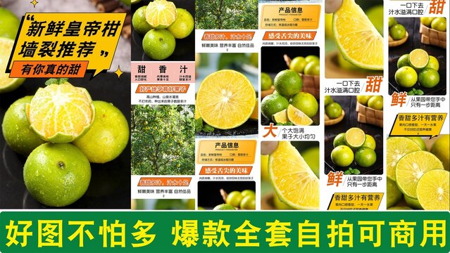 皇帝柑詳情頁