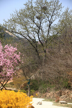 日照石老山风景区