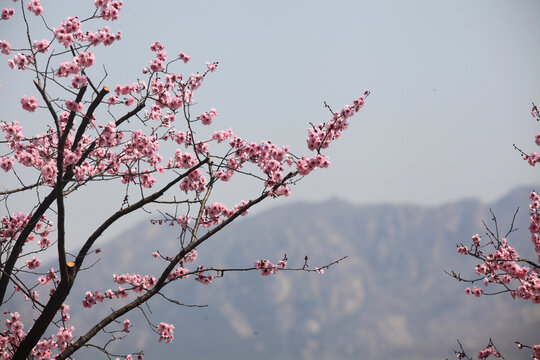 日照石老山风景区