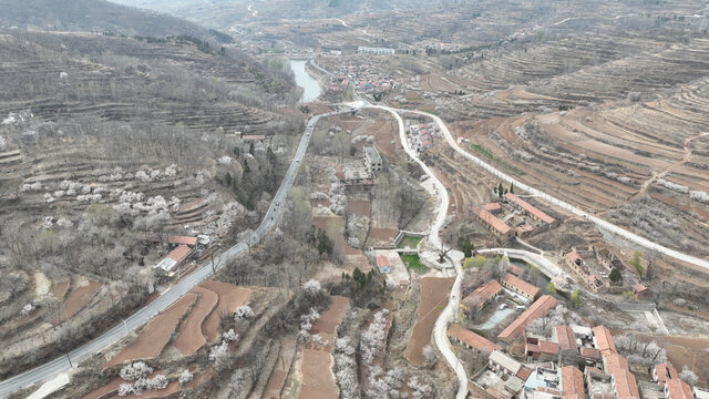 沂蒙山村春暖花开