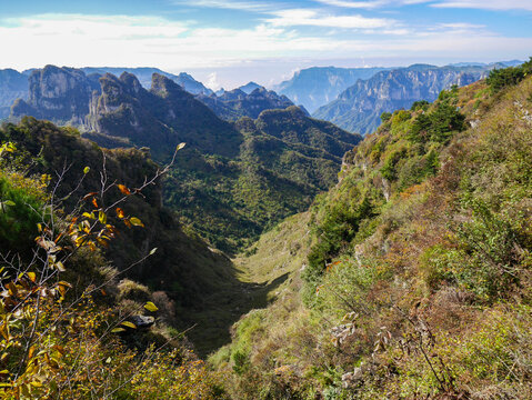 高山