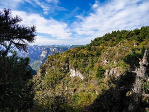 高山