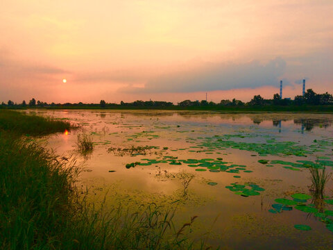 湿地的夕阳