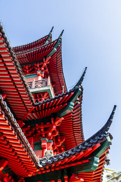 南京毗卢寺秋天风景