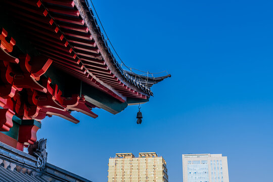 南京毗卢寺秋天风景