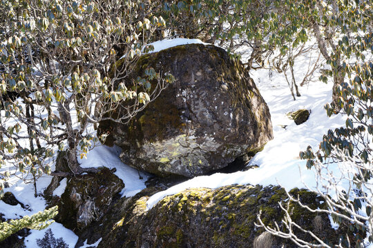 昆明轿子雪山