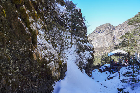 昆明轿子雪山