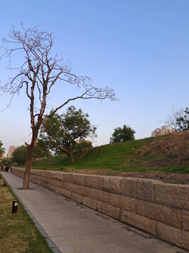 郑州商代城墙遗址