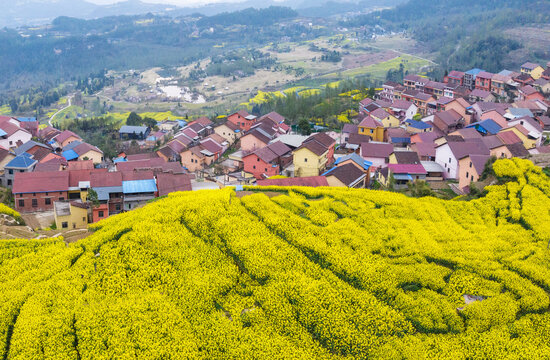 乡村振兴