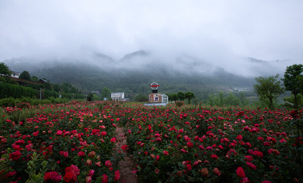 云雾缭绕的十堰堵河流域乡村