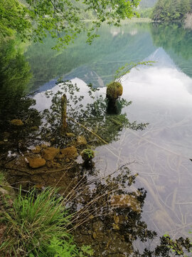 风景图九寨沟水中倒影