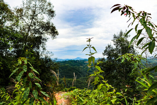 古茶山