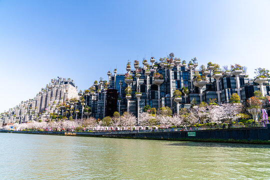 上海苏州河沿岸建筑及码头