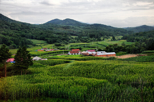 北方农村田野山丘