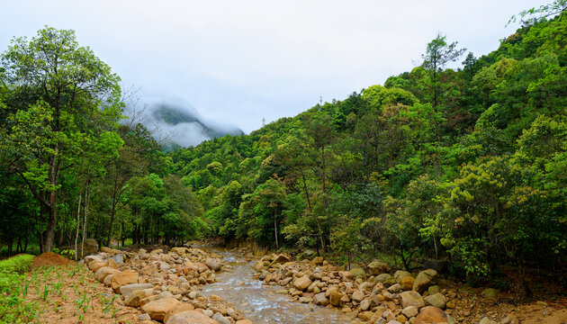 山林