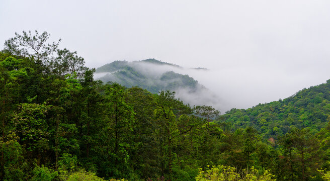 山林