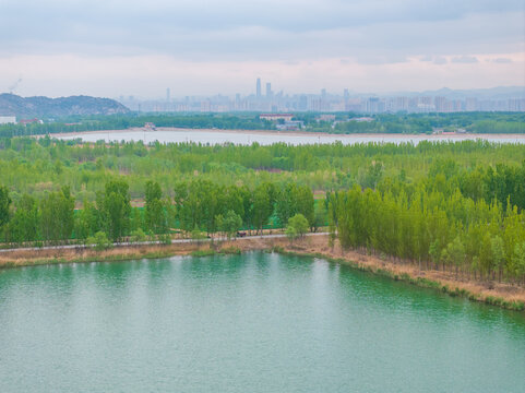 济南龙湖湿地