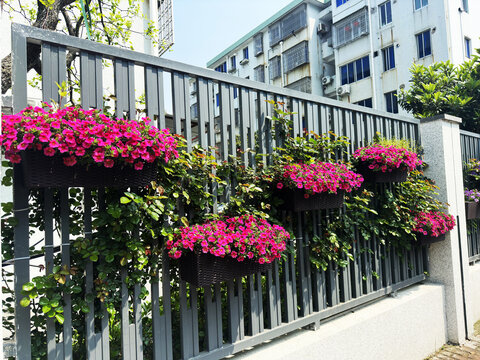 植物花篮围墙