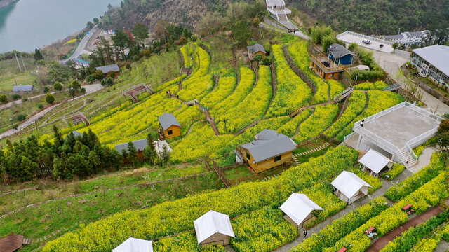 堵河方滩流域油菜园