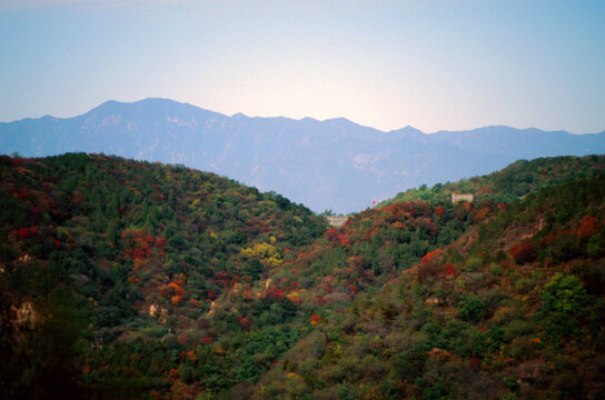 北京八达岭长城红叶