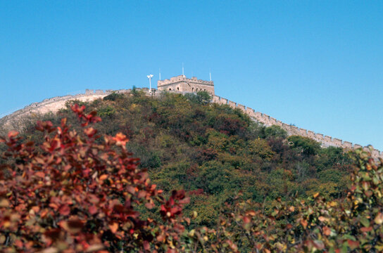 北京八达岭长城红叶岭